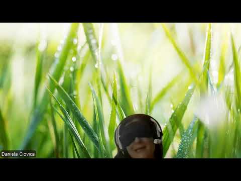 HIPNOZA REGRESIVA.RO359 Lucian, nava mama si captarea esentelor, furtul de energie si noile doctrine