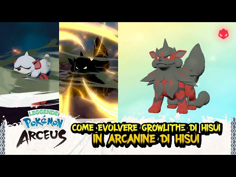 [GUIDA] Come evolvere Growlithe di Hisui in Arcanine di Hisui ALPHA! - Leggende Pokémon: Arceus