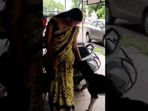 #shorts #rohini #dog lover.. ❤️❤️
