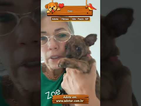 Vídeo de Zoe