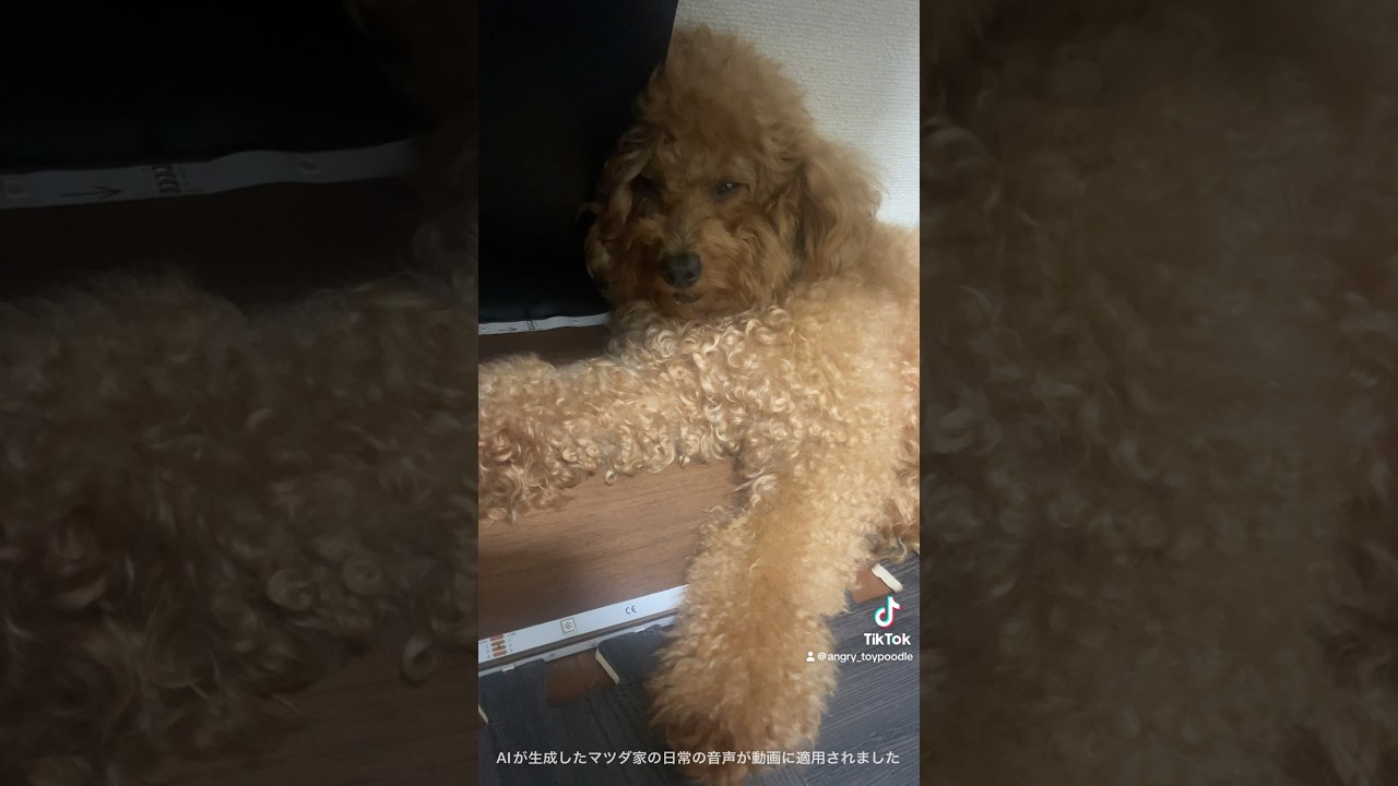 ブチギレといぷの珍しいイビキ映像