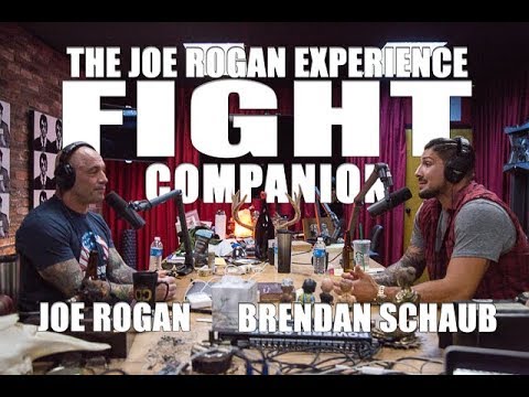 Joe Rogan Experience - Fight Companion - September 2, 2017