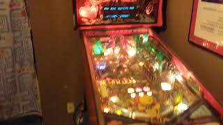 Shane's Micro Gameroom (2014)