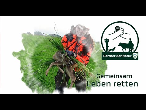 Gemeinsam Leben retten: Landwirtschaft und Jäger im Einsatz für die Jungwildrettung vor der Mahd