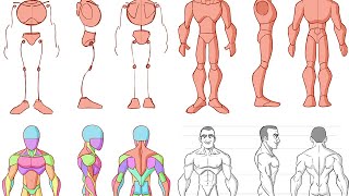 Top 5 tips for anatomy