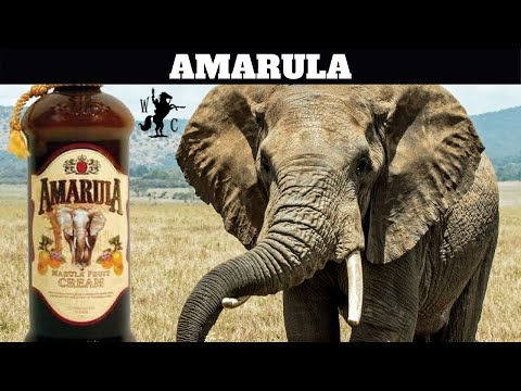 Amarula Cream (Marula Fruit) Liqueur Review