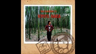 Kyoto.Nara:Japan Autumn Pt1(Solo Backpack to Kansai:Vlog)京都.奈良:日本红叶(关西一个人的旅行)