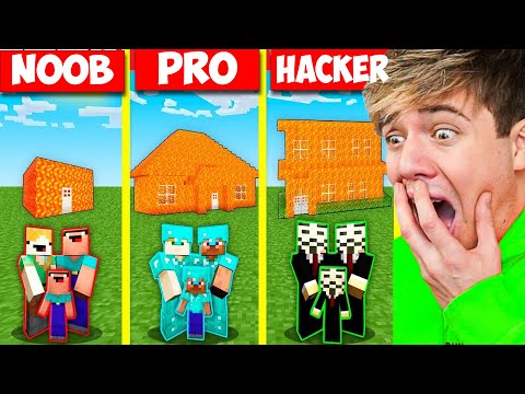 NOOB vs PRO vs HACKER In MINECRAFT!