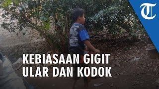Bocah Gemar Gigit Ular dan Kodok hingga Mati, Kebiasaan Aneh Muncul setelah Sakit