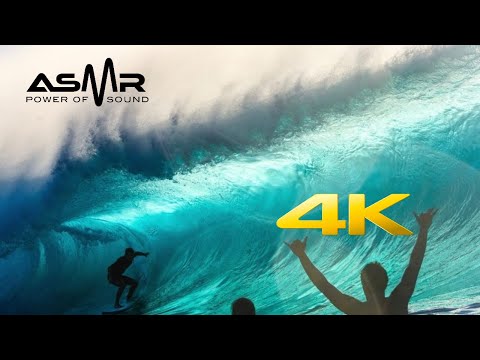 ????4k (ASMR) 10 Hour Store Loop - Hawaii Surfing - With Relaxing Music☑️