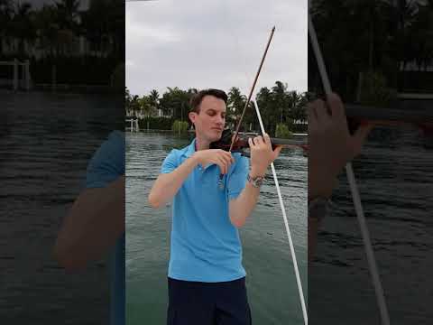 Hallelujah / Leonard Cohen - Violin cover by Israel Gatterer