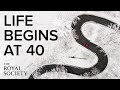 Life begins at 40: the biological and cultural roots of the midlife crisis | The Royal Society