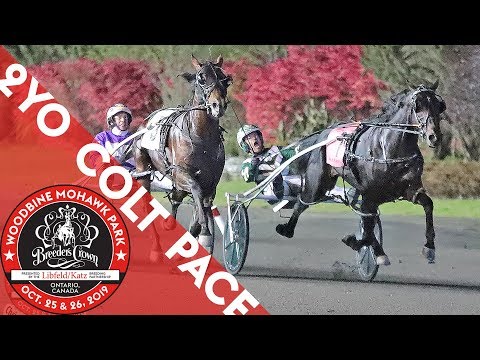 2019 Breeders Crown - Tall Dark Stranger - 2YO Colt Pace