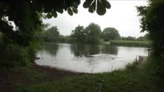 Wild Swim: The Thames, Oxfordshire