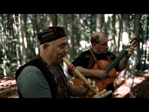 Camino de Llamas - Ukhupacha