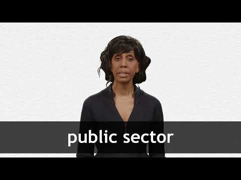 PUBLIC SECTOR definition in American English | Collins English
