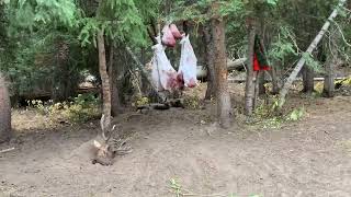 Code Of The West - Guided Camp Tour