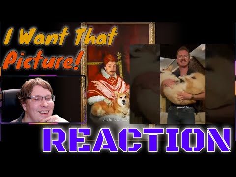 ⭐Party Dog ft. Ernie thee Corgi (Music Video)︱REACTION (Tom Cardy)