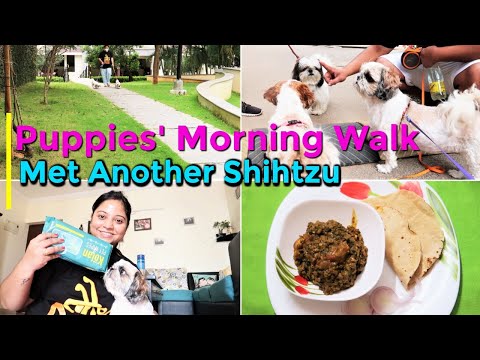When My Puppies Met A Dog | Puppies' Morning Walk | Eid Special Dinner 2020