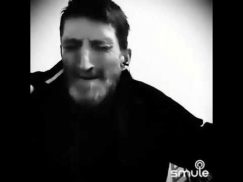 Müslüm gürses vurmayın