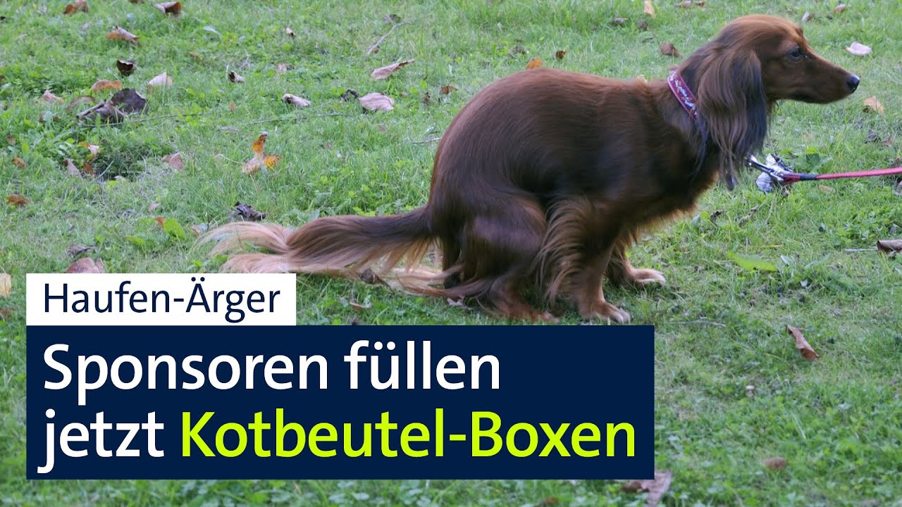 Kein Haufen-Ärger dank Kotbeutel-Sponsoring in Erlangen | Abendschau | BR24
