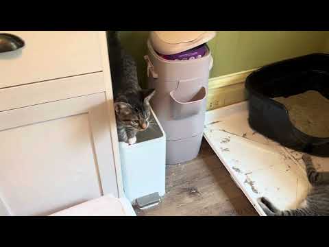 Play video on YouTube