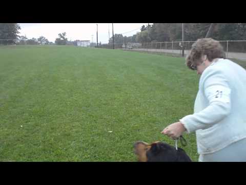 MAH00264.MP4 (MaryBeth and Bayard)