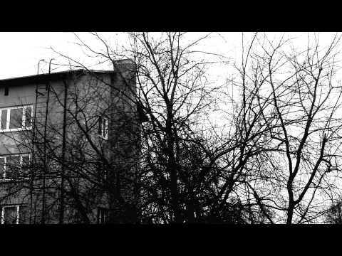 Der Traktors - Птиц