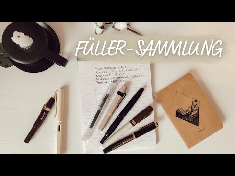 MEINE FÜLLERSAMMLUNG  🖋 | KAWECO, PILOT, PELIKAN,... | coyote diaries