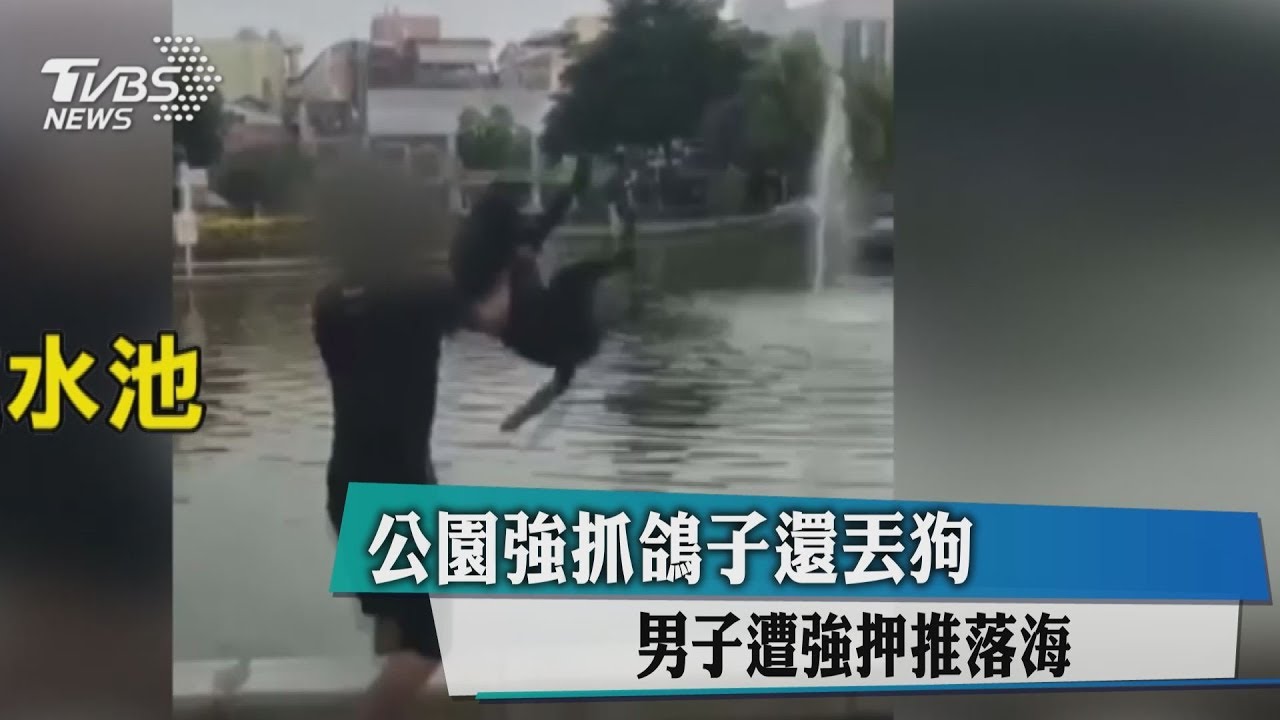 公園強抓鴿子還丟狗 男子遭強押推落海