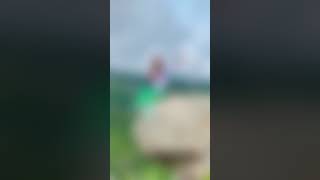 ［魔莉繡坊］金光閃閃金面山 預告片縮圖