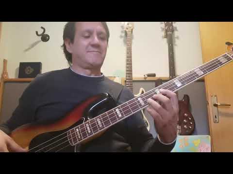 All American Alien Boy  - Jaco Pastorius bass solo ( cover )
