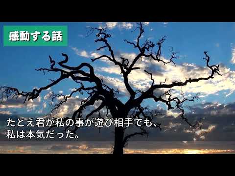 動画編集 感動する話 ひなたbiz 動画編集者 さん 動画編集者 のポートフォリオ ココナラ