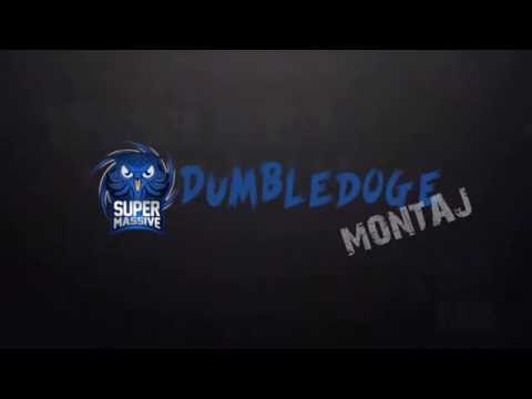 Best Of Dumbledoge | IWCI 2016