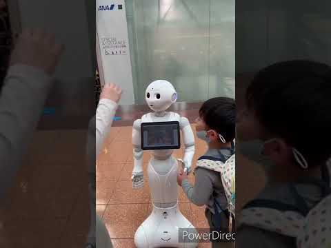 ハッカーはロボットペッパーを簡単に武器化できる