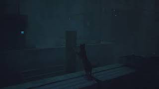 k20a_dave Stray New Game walkthrough
