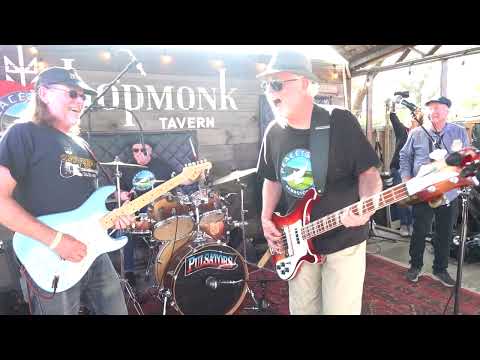 The Pulsators LIVE @  one fine day ! ONE FINE DAY !!! High Energy , FANTASTIC SOUND @The  Hopmonk