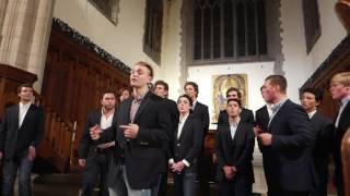 New York, I Love You But You&#39;re Bringing Me Down (A Cappella) - The Trinity College Accidentals