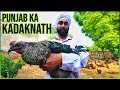 PUNJABI BLACK CHICKEN KADAKNATH CHICKEN CURRY RECIPE PUNJAB VILLAGE FOOD
