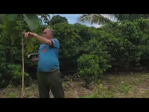 Mirante da serra RO.esta ansioso?