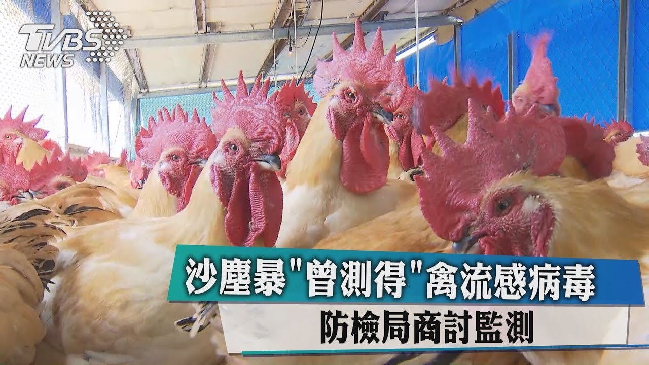 沙塵暴曾測得禽流感病毒 防檢局商討監測
