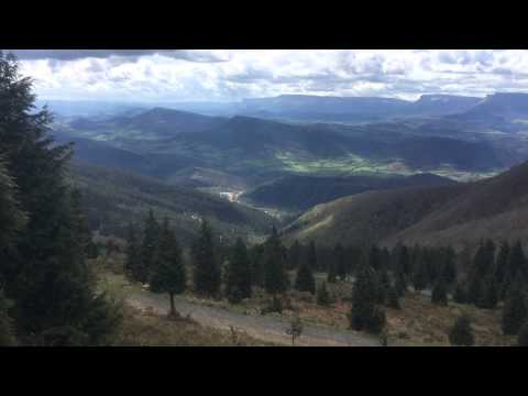 El cuco común en el monte Kolitza