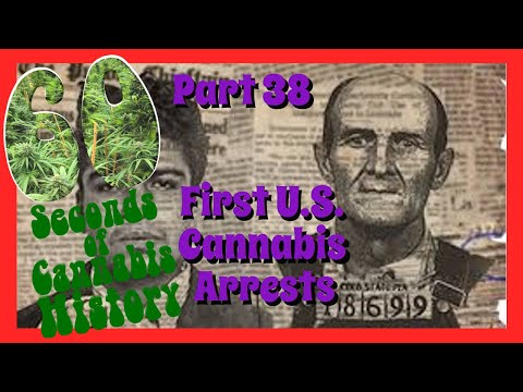 60 Seconds of Cannabis History: Part 38 - First U.S. Cannabis Arrests