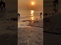 Magh Purnima Gangasagar Subscribe Youtubeshorts Viral Shorts Shortsfeed Maghpurnima2023