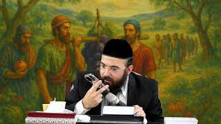 הרב נתנאל סנדרו בוחניק שליט"א - פרשת השבוע - שלח לך (הרב נתנאל סנדרו בוחניק) - התמונה מוצגת ישירות מתוך אתר האינטרנט יוטיוב. זכויות היוצרים בתמונה שייכות ליוצרה. קישור קרדיט למקור התוכן נמצא בתוך דף הסרטון