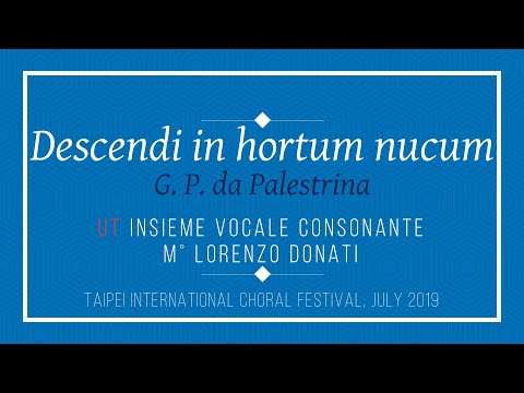 Video thumbnail for Descendi in hortum nucum