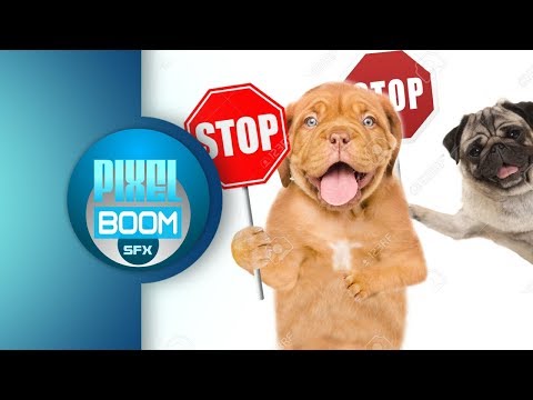 2 HRS Anti Dog Ultrasonic Sound Stop Dog Barking Bark Control Keep a Dog Out of Garden