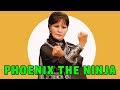 Wu Tang Collection Phoenix The Ninja Aka Miraculous Flower