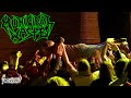 MUNICIPAL WASTE - The Art of Partying/Born to Party (Live in New Jersey, Dec. 6th, 2022)