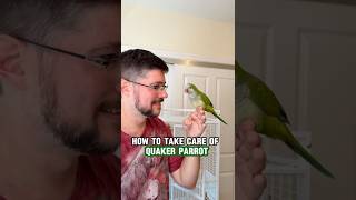 How to Take Care of a Quaker Parrot